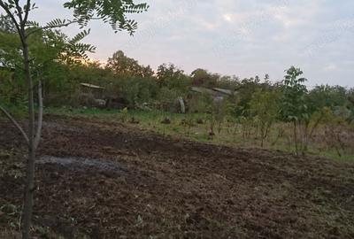 Teren de 1156 mp, în Alexandru Odobescu