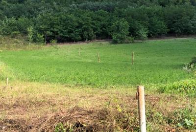 Locul perfect pentru casa ta de vis – teren la marginea orașului! - 1