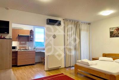 Apartament tip studio de inchiriat in Ared, Oradea - 2