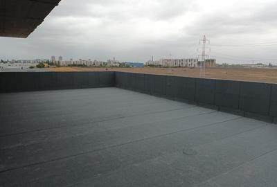 Penthouse: 133.4 mp Utili, Terasa de 113 mp - Sector 4 - 8