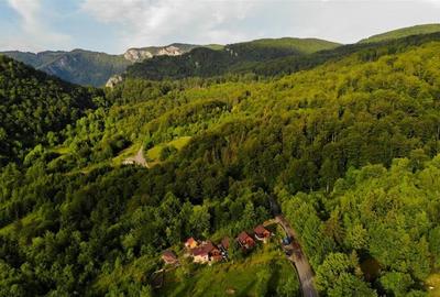 4 cabanute din lemn,Boga,Parc Natural Apuseni,Bihor - 2