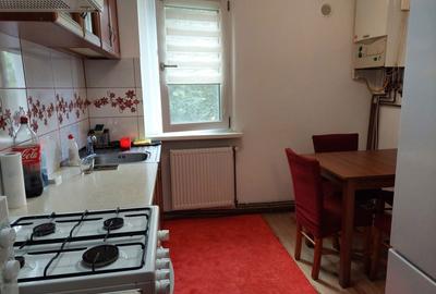 Apartament cu 2 camere semidecomandat în Podu Roș - 1