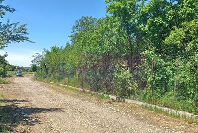 Teren de 500 mp, în Săbăreni - 3