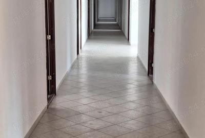 Cazare Muncitori Regim Hotelier - 3