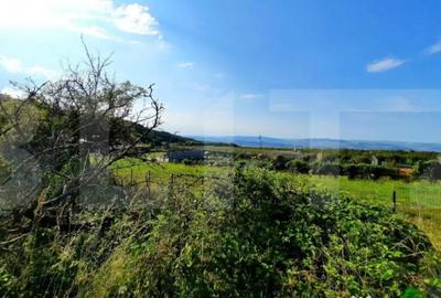 Teren de 3300 mp, în Central