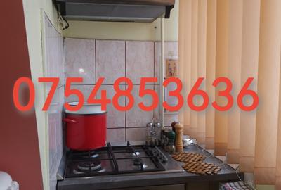 Apartament cu 2 camere decomandat, mobilat în Alexandru cel Bun - 5