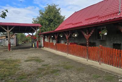 Casa de vanzare - 1