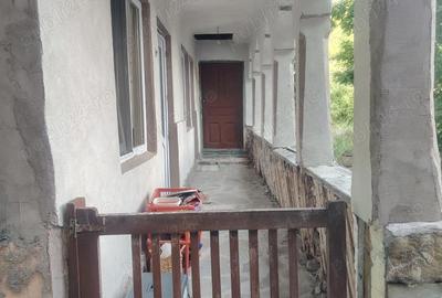 Casă cu 3 camere cu Teren 4000 Mp în Urseiu - 7