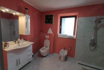 Casă cu 2 camere în Variaș - 7