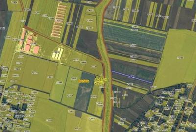 Teren Extravilan Banca, ID: R2805492 - 2