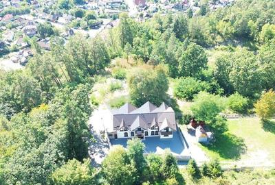 Pensiune de vanzare in Sovata Conacul Cosalina - 30