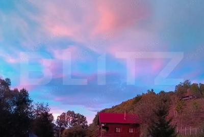 Casa de vacanta cu 4 camere,3300 mp teren,Valisoara - 1