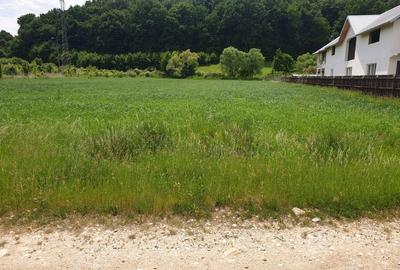 Teren investiție, 3900 mp în Mărăcineni