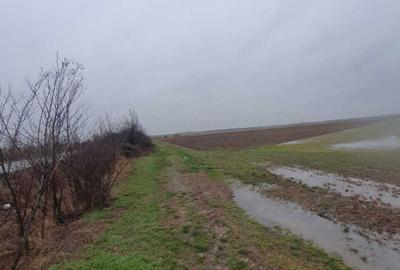 Teren de 25000 mp, în Căteasca - 1