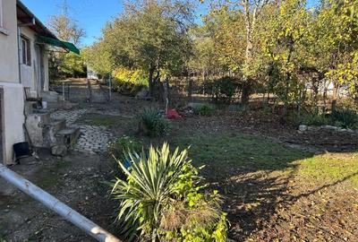 Casă cu 3 camere în Peștișu Mare - 7