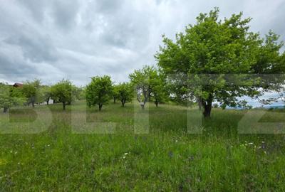 Teren intravilan, toate utilitatile, 9 ari intravilan, zona - 4