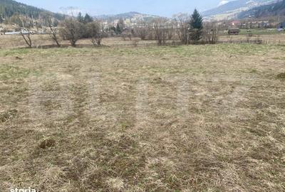 Spațiu comercial, în Roșu