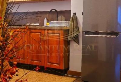 Apartament cu 2 camere semidecomandat, mobilat în Rahova - 2