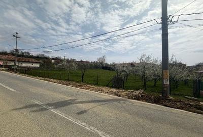 Teren de 1500 mp, în Nord-Est - 1