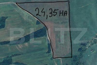 Tern extravilan 24,3504 ha, Ardud - 2