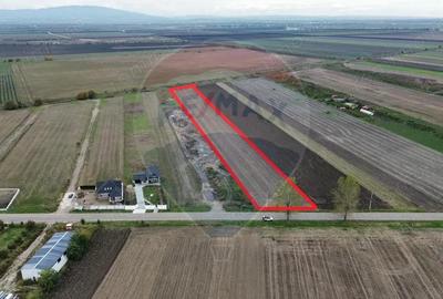 Teren de 10869 mp, în Mirceștii Vechi - 3