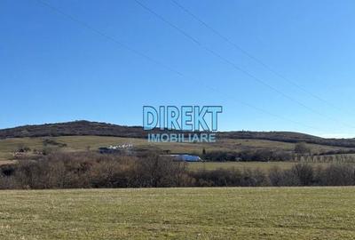 Teren de 13300 mp, în Central - 4