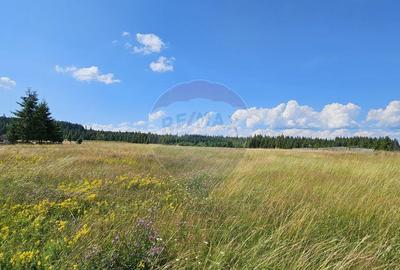 Teren par?ial intravilan 30,930 mp Poiana Stampei-DN E58... - 4