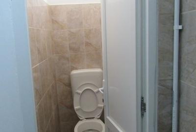Inchiriere Spatiu Comercial Teiul Doamnei - 40
