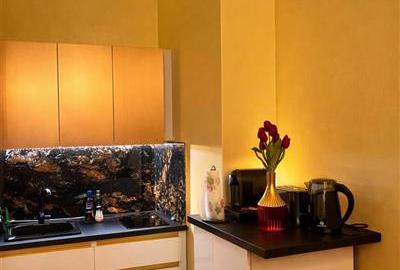 Apartament cu 2 camere decomandat, mobilat în Centrul Istoric - 3