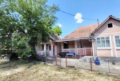 Casa renovabila 2,2 arii taren in Raciu - 2