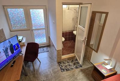 Garsonieră decomandată în Giurgiului - 3