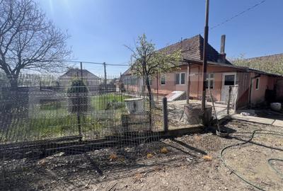 Casă cu 3 camere cu Teren 1263 Mp în Dileu Nou - 3