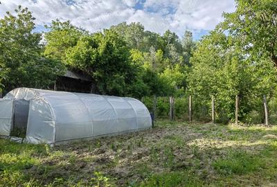 Casă cu 6 camere cu Teren 5019 Mp în Hurezani