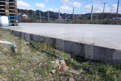 Teren Rachiti | 2245MP - 5