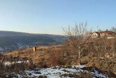 Teren de 1500 mp, în Baciu - 9