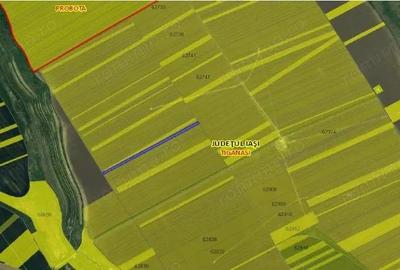 Teren extravilan Tiganasi, cota parte 1/5, ID: R2822453 - 6