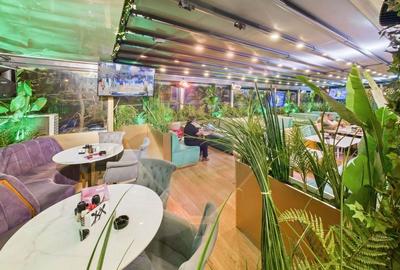 Boulevard Caffe Di David-preluare afacere functionala - Bd Gh.Sincai - 6
