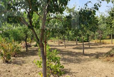 Casă cu 4 camere cu Teren 1200 Mp în Central - 5