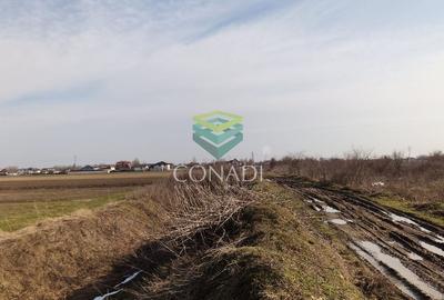 Teren Construcții intravilan de 535 mp, în Tărtășești - 9