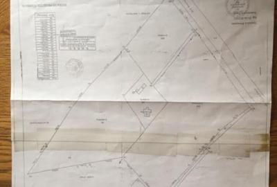 Teren de vanzre in Pitesti 53.000 mp + Conac Boieresc - 17