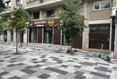 Spațiu comercial, de 230 mp, în Decebal - 2
