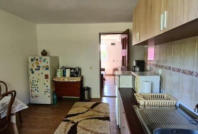 Vila Ialomita -Livedea lac - 15