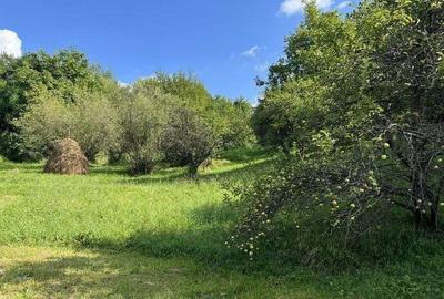 Teren de 4300 mp, în Breaza - 15