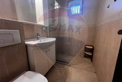 Apartament cu 2 camere semidecomandat, mobilat în Podgoria - 10