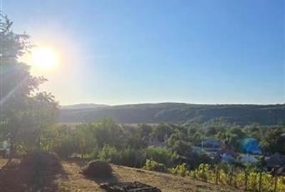 TEREN LOC DE CASA DE VANZARE FILIPESTI  BOGDANESTI - 7