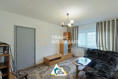 Apartament cu 2 camere decomandat, mobilat în Podgoria