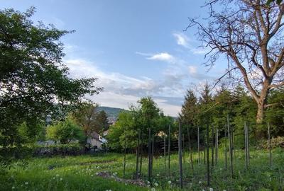 Casa individuală 5 camere in Gruia - 3