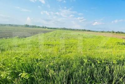 Teren de 5521 mp, în Central - 2