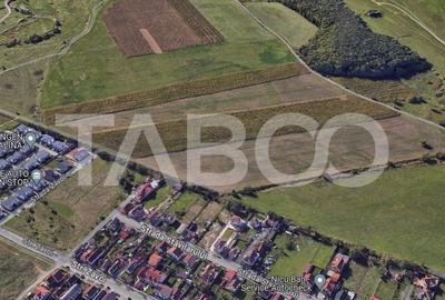 Teren extravilan 4200 mp in Sibiu zona Turnisor - 3