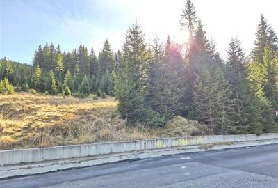 Vanzare Teren 2500 mp.Moroeni - 3